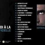 Le texte musical DÉMENCE de SINIK est également présent dans l'album Sang froid (2006)