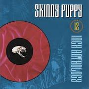 Le texte musical STAIRS AND FLOWERS de SKINNY PUPPY est également présent dans l'album Chainsaw (1987)
