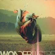 Le texte musical YOU SAVED ME de SKUNK ANANSIE est également présent dans l'album Wonderlustre (2010)