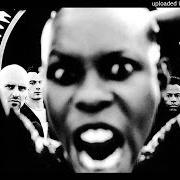 Le texte musical PICKIN ON ME de SKUNK ANANSIE est également présent dans l'album Stoosh (1997)