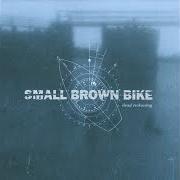 Le texte musical MY OWN DISASTER de SMALL BROWN BIKE est également présent dans l'album Dead reckoning (2001)