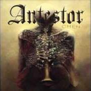 Le texte musical TORN APART de ANTESTOR est également présent dans l'album Omen (2012)