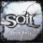 Le texte musical THE LAST CHANCE de SOIL est également présent dans l'album True self (2006)