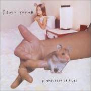 Le texte musical HOARFROST de SONIC YOUTH est également présent dans l'album A thousand leaves (1998)