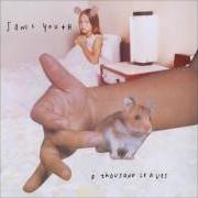 Le texte musical CONTRE LE SEXISME de SONIC YOUTH est également présent dans l'album A thousand leaves (1998)