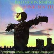 Le texte musical FLOWER de SONIC YOUTH est également présent dans l'album Bad moon rising (1985)