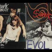 Le texte musical BUBBLEGUM de SONIC YOUTH est également présent dans l'album Evol (1986)