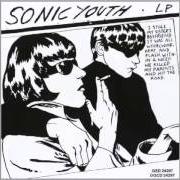 Le texte musical TUNIC (SONG FOR KAREN) de SONIC YOUTH est également présent dans l'album Goo (1990)