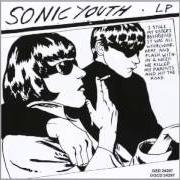 Le texte musical MY FRIEND GOO de SONIC YOUTH est également présent dans l'album Goo (1990)