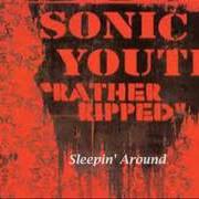 Le texte musical DO YOU BELIEVE IN RAPTURE? de SONIC YOUTH est également présent dans l'album Rather ripped (2006)