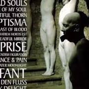 Le texte musical BIRTH - FIENDISH FIGURATION de SOPOR AETERNUS est également présent dans l'album Es reiten die toten so schnell (2003)