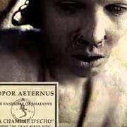 Le texte musical CONSOLATRIX HAS LEFT THE BUILDING de SOPOR AETERNUS est également présent dans l'album La chambre d'echo (2004)