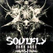 Le texte musical INNERSPIRIT de SOULFLY est également présent dans l'album Dark ages (2005)