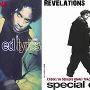 Le texte musical NEVA GO BACK de SPECIAL ED est également présent dans l'album Revelations (1995)