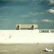 Le texte musical CANZONI PER PARRUCCHIERE de STADIO est également présent dans l'album L'amore volubile (2005)