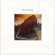 Le texte musical THE WILD WILD SEA de STING est également présent dans l'album The soul cages (1991)