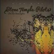 Le texte musical OUT OF TIME de STONE TEMPLE PILOTS est également présent dans l'album High rise (2013)