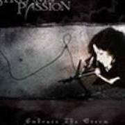 Le texte musical EMBRACE THE STORM de STREAM OF PASSION est également présent dans l'album Embrace the storm (2005)