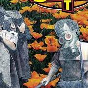 Another day in paradise Another day in paradise