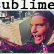 Le texte musical RALEIGH SOLILOQUY PT. II de SUBLIME est également présent dans l'album Robbin the hood (1994)