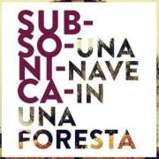 Una nave in una foresta