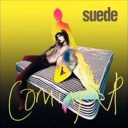 Le texte musical SHE de SUEDE est également présent dans l'album Coming up (1996)