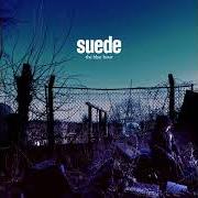 Le texte musical DEAD BIRD de SUEDE est également présent dans l'album The blue hour (2018)