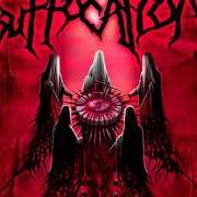 Le texte musical PRAY FOR FORGIVENESS de SUFFOCATION est également présent dans l'album Blood oath (2009)