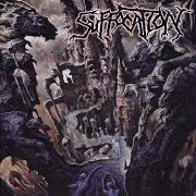 Le texte musical SURGERY OF IMPALEMENT de SUFFOCATION est également présent dans l'album Souls to deny (2004)