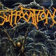 Le texte musical TORN INTO ENTHRALLMENT de SUFFOCATION est également présent dans l'album Pierced from within (1995)