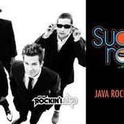 Le texte musical PSYCHEDELIC BEE de SUGAR RAY est également présent dans l'album The best of (2005)