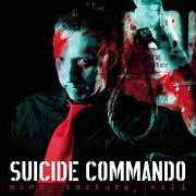 Le texte musical RADER de SUICIDE COMMANDO est également présent dans l'album Bind, torture, kill (2006)