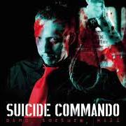 Le texte musical CONSPIRACY WITH THE DEVIL de SUICIDE COMMANDO est également présent dans l'album Bind, torture, kill (2006)