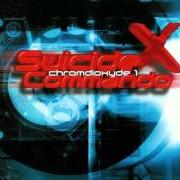 Le texte musical ANOREXIA NERVOSA de SUICIDE COMMANDO est également présent dans l'album Chromdioxyde 1 (1999)