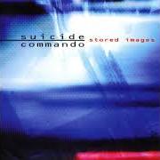 Le texte musical THE HUMAN DISGRACE de SUICIDE COMMANDO est également présent dans l'album Stored images (1995)