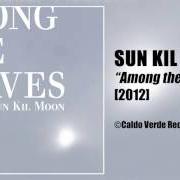 Le texte musical AMONG THE LEAVES de SUN KIL MOON est également présent dans l'album Among the leaves (2012)