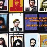 Le texte musical PLAY IT COOL de SUPER FURRY ANIMALS est également présent dans l'album Songbook, vol. i (2004)