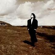 Le texte musical FOR ALL THESE YEARS de TANITA TIKARAM est également présent dans l'album Ancient heart