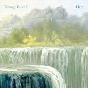 Le texte musical STEADY STATE de TEENAGE FANCLUB est également présent dans l'album Here (2016)