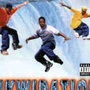 Le texte musical HIP HOP DRUNKIES de THA ALKAHOLIKS est également présent dans l'album Likwidation (1997)