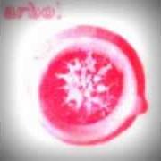Le texte musical CHAJAL de ARBOL est également présent dans l'album Arbol (1999)