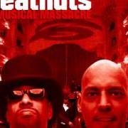 Le texte musical STORY 2000 de THE BEATNUTS est également présent dans l'album A musical massacre (1999)