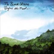 Le texte musical AND THE BAND PLAYED ON... de THE BLACK CROWES est également présent dans l'album Before the frost...Until the freeze (2009)