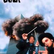 Le texte musical PORK AND BEEF de THE COUP est également présent dans l'album Party music (2001)