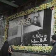 Le texte musical JADED YOUTH de THE CRIBS est également présent dans l'album In the belly of the brazen bull (2012)