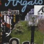 Le texte musical IT HAPPENED SO FAST de THE CRIBS est également présent dans l'album Arigato cockers (2006)