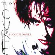 Le texte musical BLOODFLOWERS de THE CURE est également présent dans l'album Bloodflowers (2000)