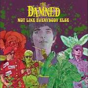 Le texte musical MAKING TIME de THE DAMNED est également présent dans l'album Not like everybody else (2026)