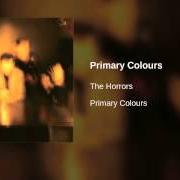 Le texte musical DO YOU REMEMBER de THE HORRORS est également présent dans l'album Primary colours (2009)