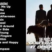 Le texte musical RAINBOWS AND HAPPY REGRETS de THE PROCLAIMERS est également présent dans l'album Let's hear it for the dogs (2015)